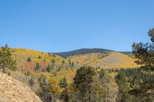 20201020FallColors2020150.jpg